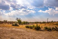 Landscape of Botswana-Romas Vysniauskas-Photographic Print