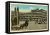 Rome, Italy, Circus Maximus Spectacle-null-Framed Stretched Canvas