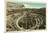 Rome, Italy, Coliseum Interior-null-Mounted Art Print