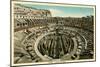 Rome, Italy, Coliseum Interior-null-Mounted Premium Giclee Print