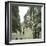 Rome (Italy), Via Del Corso, Circa 1895-Leon, Levy et Fils-Framed Photographic Print