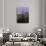 Rome, Italy-Angelo Cavalli-Premium Photographic Print displayed on a wall