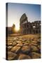 Rome, Lazio, Italy. Colosseum at Summer Sunrise.-Marco Bottigelli-Stretched Canvas