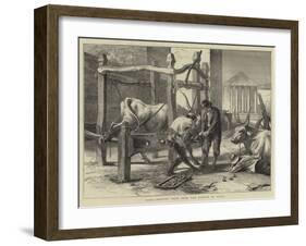 Rome, Shoeing Oxen Near the Temple of Vesta-null-Framed Giclee Print