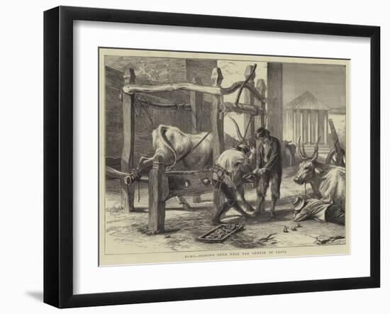 Rome, Shoeing Oxen Near the Temple of Vesta-null-Framed Giclee Print