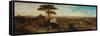 Rome, Sunset from the Convent of San Onofrio-David Roberts-Framed Stretched Canvas