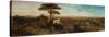 Rome, Sunset from the Convent of San Onofrio-David Roberts-Stretched Canvas