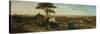 Rome, Sunset from the Convent of San Onofrio-David Roberts-Stretched Canvas