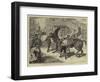 Rome, the Carnival Races, the Barberi Going Up to the Start-Basil Bradley-Framed Giclee Print