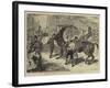 Rome, the Carnival Races, the Barberi Going Up to the Start-Basil Bradley-Framed Giclee Print