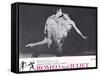 Romeo and Juliet, 1966-null-Framed Stretched Canvas