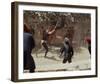 Romeo and Juliet, Leonard Whiting, 1968-null-Framed Photo