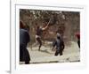 Romeo and Juliet, Leonard Whiting, 1968-null-Framed Photo
