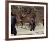 Romeo and Juliet, Leonard Whiting, 1968-null-Framed Photo