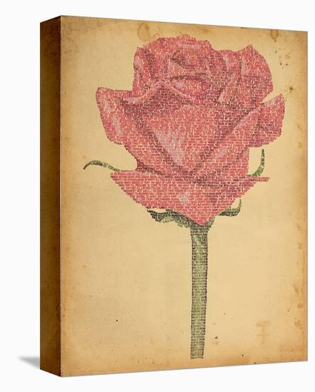 Romeo and Juliet Rose-null-Stretched Canvas