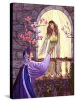 Romeo and Juliet's Balcony-Judy Mastrangelo-Stretched Canvas