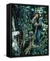 Romeo and Juliet-null-Framed Stretched Canvas