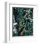 Romeo and Juliet-null-Framed Photo