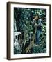 Romeo and Juliet-null-Framed Photo