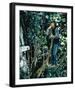 Romeo and Juliet-null-Framed Photo