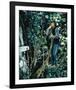 Romeo and Juliet-null-Framed Photo