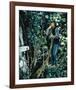 Romeo and Juliet-null-Framed Photo