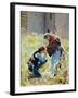 Romeo and Juliet-null-Framed Photo