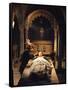 Romeo and Juliet-null-Framed Stretched Canvas