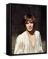 Romeo and Juliet-null-Framed Stretched Canvas