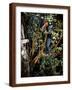 Brown Frame