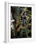 White Frame