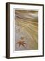 Romero Pools II-Donald Paulson-Framed Giclee Print