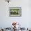 Romney Flock of Sheep, New Zealand-David Noyes-Framed Photographic Print displayed on a wall