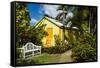 Romney Manor on St. Kitts-Michael Runkel-Framed Stretched Canvas