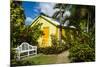 Romney Manor on St. Kitts-Michael Runkel-Mounted Photographic Print