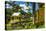 Romney Manor on St. Kitts-Michael Runkel-Stretched Canvas