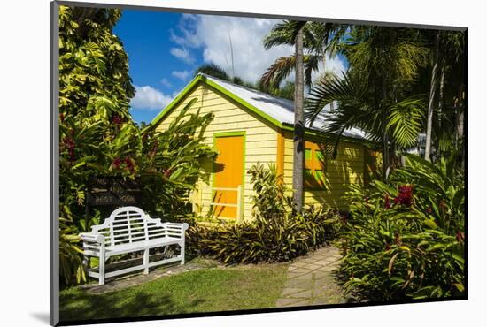 Romney Manor on St. Kitts-Michael Runkel-Mounted Photographic Print