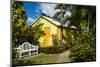 Romney Manor on St. Kitts-Michael Runkel-Mounted Photographic Print