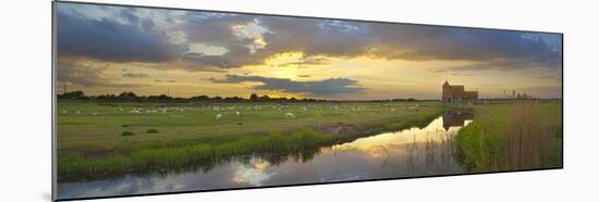 Romney Marsh and Fairfield Church Near Brookland, Kent, England, United Kingdom, Europe-Stuart Black-Mounted Premium Photographic Print