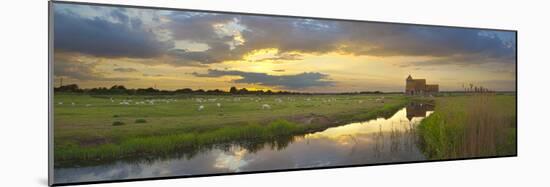 Romney Marsh and Fairfield Church Near Brookland, Kent, England, United Kingdom, Europe-Stuart Black-Mounted Photographic Print