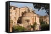 Romolo Temple in the Roman Forum, UNESCO World Heritage Site, Rome, Lazio, Italy, Europe-Carlo-Framed Stretched Canvas