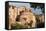 Romolo Temple in the Roman Forum, UNESCO World Heritage Site, Rome, Lazio, Italy, Europe-Carlo-Framed Stretched Canvas