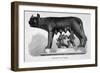 Romulus and Remus are Suckled by a Wolf-null-Framed Art Print