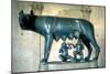 Romulus and Remus, c500 BC. Artist: Unknown-Unknown-Mounted Giclee Print