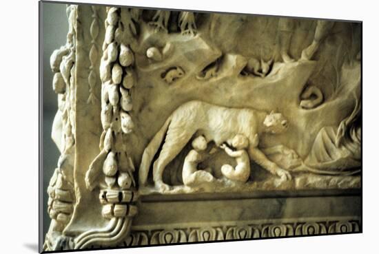 Romulus and Remus Suckling from the She-Wolf-null-Mounted Photographic Print