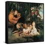 Romulus and Remus-Peter Paul Rubens-Framed Stretched Canvas