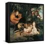 Romulus and Remus-Peter Paul Rubens-Framed Stretched Canvas