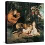 Romulus and Remus-Peter Paul Rubens-Stretched Canvas