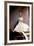 Romy Schneider M?DCHENJAHRE EINER K?NIGIN / LES JEUNES ANNEES D'UNE REINE, 1954 (photo)-null-Framed Photo