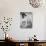 Romy Schneider, UFA-Film-null-Photographic Print displayed on a wall